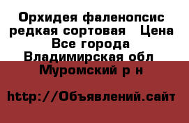 Орхидея фаленопсис редкая сортовая › Цена ­ 800 - Все города  »    . Владимирская обл.,Муромский р-н